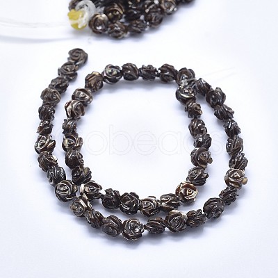 Shell Bead Strands SSHEL-P015-01C-6mm-1