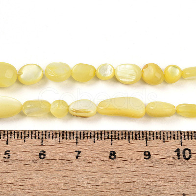 Natural White Shell Beads Strands SHEL-N036-21H-1