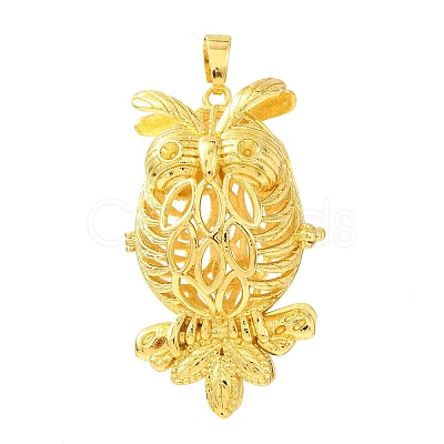 Brass Cage Big Pendants KK-CBA8ACD-06G-1