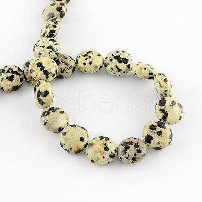 Natural Dalmation Jasper Bead Strands X-G-R189-14-1