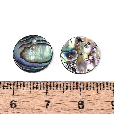 Natural Paua Shell Disc Charms SSHEL-N040-19A-1
