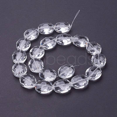 Glass Bead Strands GLAA-R196-24x20mm-01-1