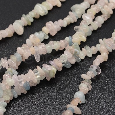 Chips Natural Colorful Morganite Beads Strands G-N0164-59-1