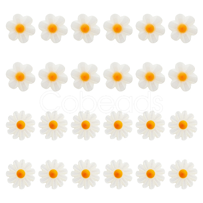 24Pcs 2 Styles Natural Freshwater Shell Beads SHEL-HS0001-05-1