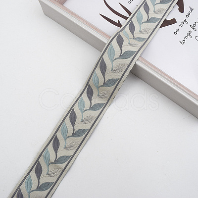 Polyester Ribbon OCOR-WH0091-44B-1