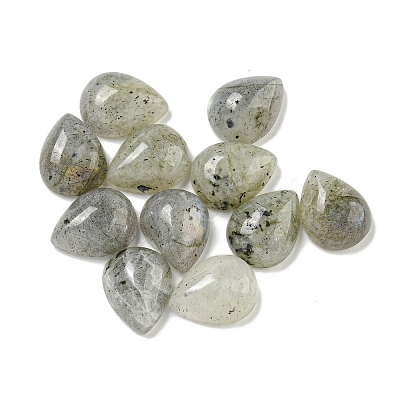 Natural Labradorite Cabochons G-Q173-02C-07-1