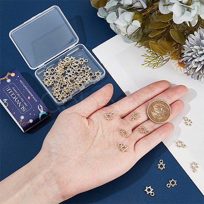 60Pcs Alloy Charms FIND-SC0009-21-1