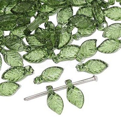 Transparent Acrylic Charms TACR-TAC0001-08-1