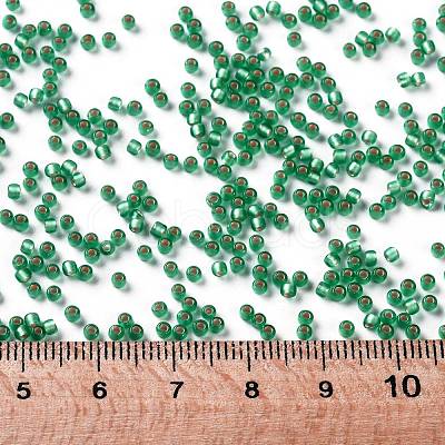 TOHO Round Seed Beads SEED-JPTR11-0024BF-1