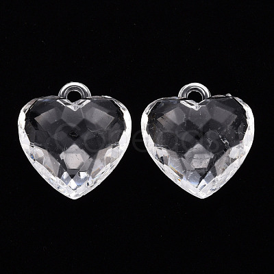 Transparent Acrylic Pendants X-TACR-T024-03B-205-1