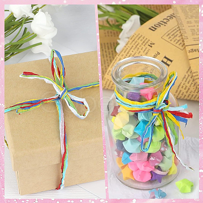 Segment Dyed Raffia Paper Cords for DIY Craft OCOR-WH20020-27H-1