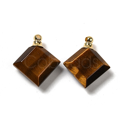 Natural Tiger Eye Perfume Bottle Pendants G-Z039-05G-05-1