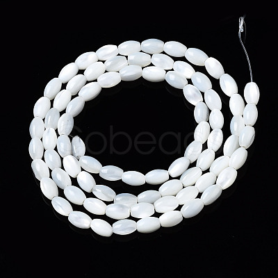 Natural Trochid Shell/Trochus Shell Beads Strands SSHEL-S266-021A-01-1