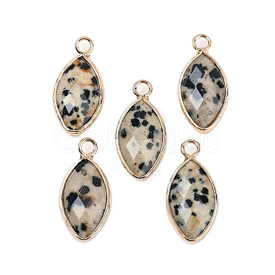 Natural Dalmatian Jasper Faceted Pendants G-G193-01G-01-1