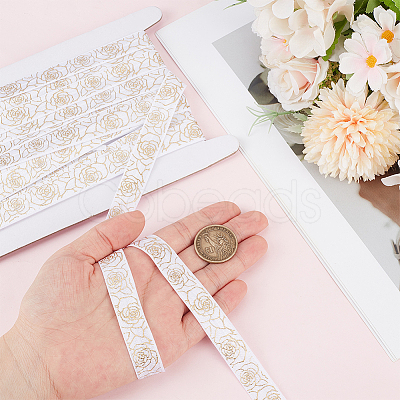 10 Yards Polyester Ribbon OCOR-CY0003-67B-1
