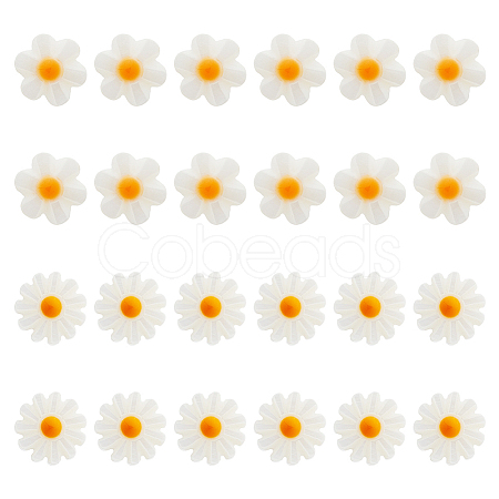 24Pcs 2 Styles Natural Freshwater Shell Beads SHEL-HS0001-05-1