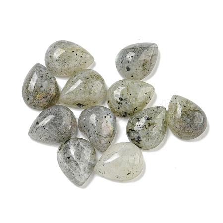 Natural Labradorite Cabochons G-Q173-02C-07-1