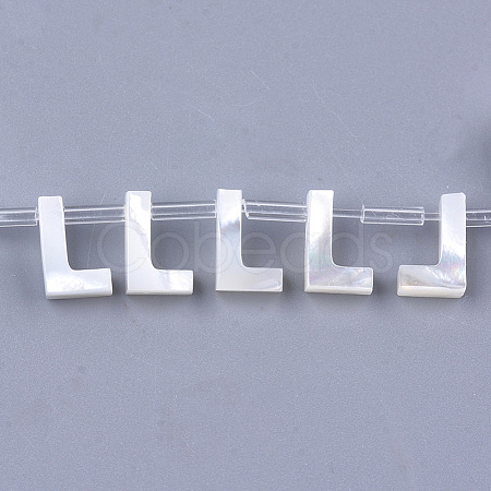 Sea Shell Beads X-SHEL-T012-60L-1