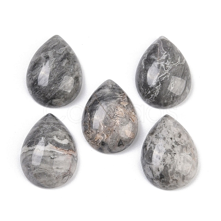 Natural Map Stone Cabochons G-H094-01A-34-1