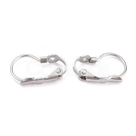 Tarnish Resistant 304 Stainless Steel Leverback Earring Findings LS-STAS-B003-05P-1