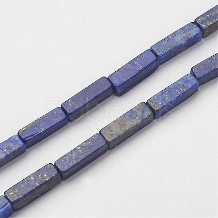 Natural Lapis Lazuli Beads Strands G-G968-D03-1