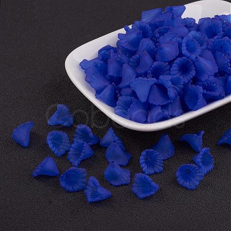 Transparent Acrylic Beads PL622-C07-1