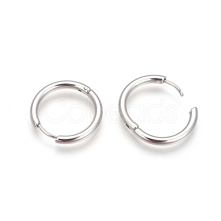 Tarnish Resistant 304 Stainless Steel Hoop Earrings X-EJEW-P177-P-06-1