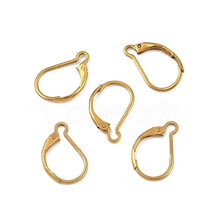 Ion Plating(IP) 304 Stainless Steel Leverback Earring Findings STAS-K233-04G-01A-1