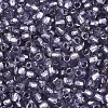 Silver Lined Glass Seed Beads SEED-T007-18A-08-3