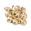 Fruit Zinc Alloy Rhinestone Brooches for Backpack Clothes JEWB-R068-02C-G-2