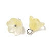 Glass Charms GLAA-G127-03B-2