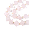 Natural Rose Quartz Beads Strands G-Q608-07A-02-4