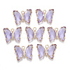 Glass Pendants X-GLAA-T021-24F-1