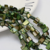 Natural Shell Beads Strands X-PBB050Y-1
