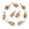 10Pcs Glass Pendants PALLOY-YW00130-05-1