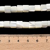 Natural Trochid Shell/Trochus Shell Beads Strands SHEL-C010-05A-4