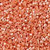 Baking Paint Glass Seed Beads X-SEED-S042-15A-03-3