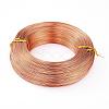 Round Anodized Aluminum Wire AW-S001-2.5mm-04-1