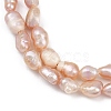 Natural Cultured Freshwater Pearl Beads Strands PEAR-P064-20H-02D-4