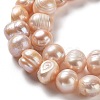 Natural Cultured Freshwater Pearl Beads Strands PEAR-E019-18-3