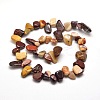 Natural Mookaite Chip Bead Strands G-M204-50-2