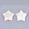 Freshwater Shell Big Pendants SHEL-T012-10-3
