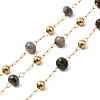 304 Stainless Steel Handmade Beaded Chains CHS-P017-A03-G-1