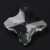 Transparent Glass Pendants GLAA-R223-02-2