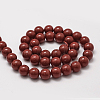Shell Pearl Beads Strands BSHE-L026-01-10mm-2