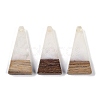 Resin & Wood Pendants WOOD-F015-03H-1