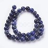 Natural Sodalite Beads Strands G-G448-10mm-25-2