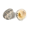 Natural Shell Beads SHEL-K009-17A-2