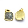 Natural Labradorite Pendants G-O176K-09G-2
