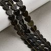 Natural Golden Sheen Obsidian Beads Strands G-M403-A46-03-1